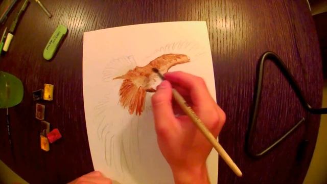 Как нарисовать акварелью 3D орла. How to draw 3D eagle watercolor смотреть онлайн