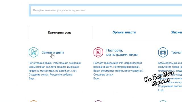 Документы РФ: паспорта и права