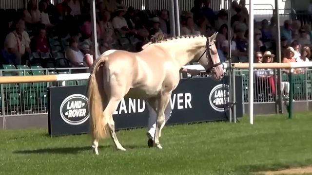 Вы не Поверите Сколько Стоит Эта Лошадь! ТОП 10! смотреть онлайн