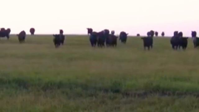 Trio Mandili - Kakhuri (mix/edit Studio Version)