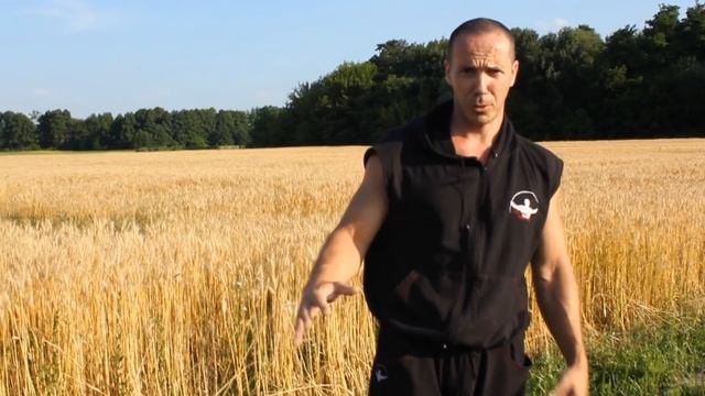 Как отжиматься с хлопком за спиной и "колесо" Street Workout смотреть онлайн