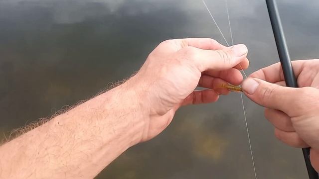 Рыбалка на бомбарду. Очень интересно и увлекательно. смотреть онлайн