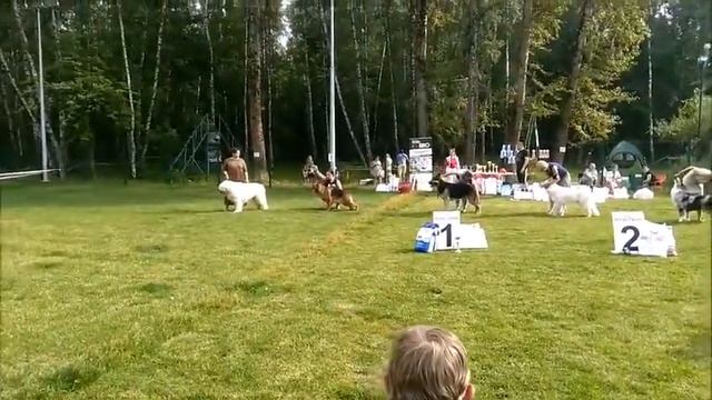 Всероссийская в-ка "СКИЛА" Москва 15.07.2018 смотреть онлайн