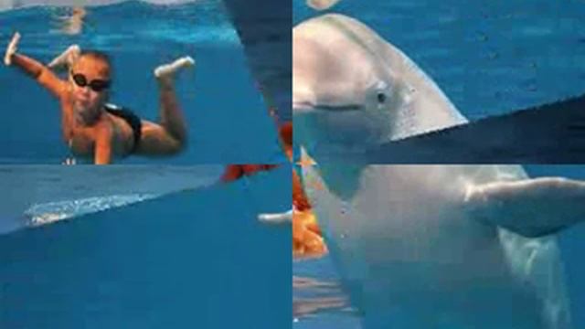 W.B.Yeats: News for the Delphic Oracle (1) смотреть онлайн