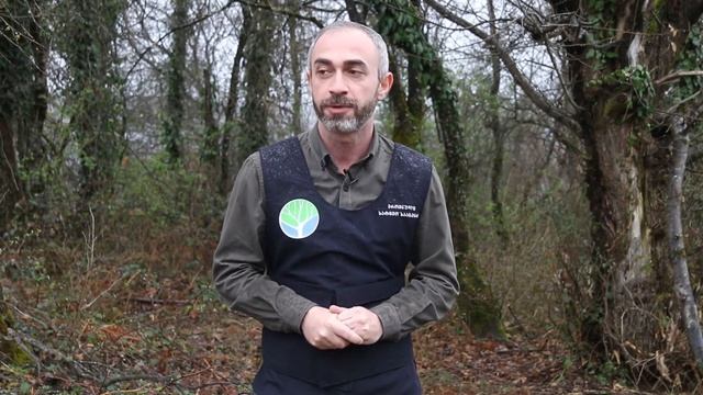 გიორგი მამადაშვილი წაბლის კორომების შენარჩუნებასა და დაცვის შესახებ смотреть онлайн