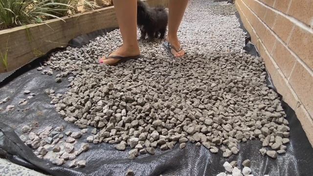 How to Make a Gravel Path / The Easiest and Cheapest Way смотреть онлайн