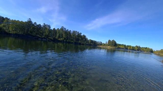 Нахлыст и Хариус на реке Китой смотреть онлайн