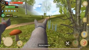 Симулятор КОТА и КОШКИ #4 Котики против Лисы, Боссов, мыши и енота. Новая порода Кида на пурумчата