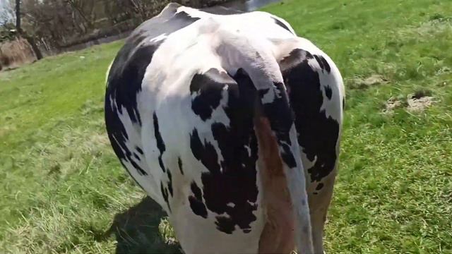 первый раз на луг , жизнь не по понятиям !!! смотреть онлайн