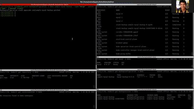 Backup & Restore Using Stash | Disaster Recovery Solution for Kubernetes смотреть онлайн