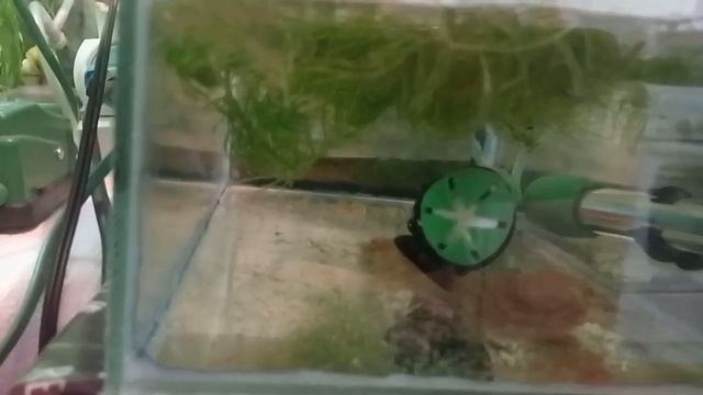 работа по аквариумам идёт,продолжаем заниматься аквариумами,небольшой обзор,что сделали за день.
