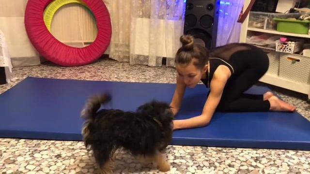 Перекаты через плечо смотреть онлайн