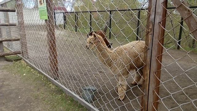 20170507_122113 смотреть онлайн