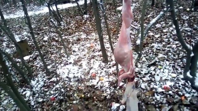 Как вкусно приготовить суп из КОТА [БЛОГЕР С БОРА] город Бор Нижегородская область смотреть онлайн