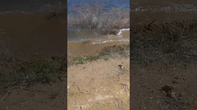 Ушарал жолы смотреть онлайн