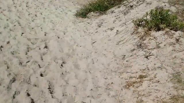 Camping Corsica смотреть онлайн