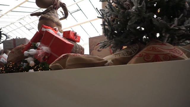 Голландия уже готовится к Новому году, тыквы на улице, хризантемы смотреть онлайн