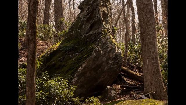 A Simple Waltz for Clarinet смотреть онлайн