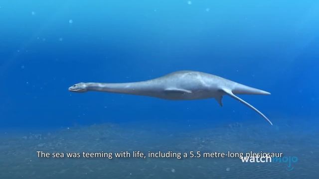 Загадка Лохнесского Чудовища