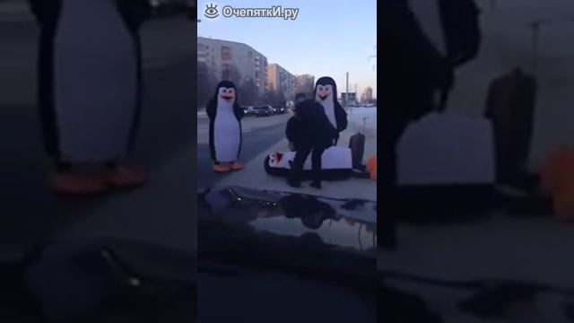 Реальный подниматель пингвинов смотреть онлайн