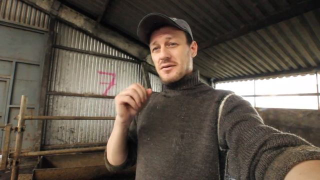 АЛЛЕРГИЯ НА ВИТАМИНЫ И НЕ ТОЛЬКО/ 5 СЛУЧАЕВ ИЗ ПРАКТИКИ смотреть онлайн