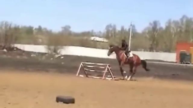 Даша на Луизианне. Маршрут с перепрыжкой 90-100 см. смотреть онлайн
