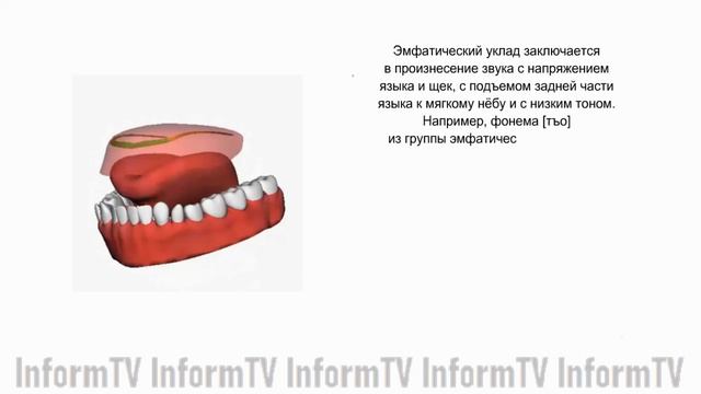 Арабский язык. Фонема ض смотреть онлайн