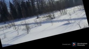 Тест драйв и сравнение 2-х т. и 4-х т. баранов