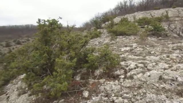 Горная гряда вокруг Передового смотреть онлайн