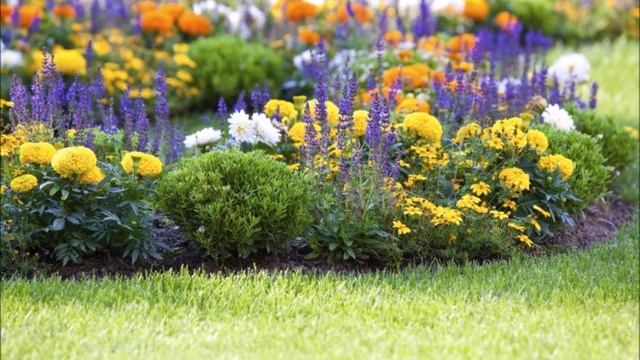 ЦВЕТНИКИ СВОИМИ РУКАМИ. ЛУЧШИЕ ИДЕИ ЦВЕТОЧНЫХ КЛУМБ смотреть онлайн