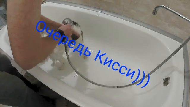 Мытье Папийона смотреть онлайн