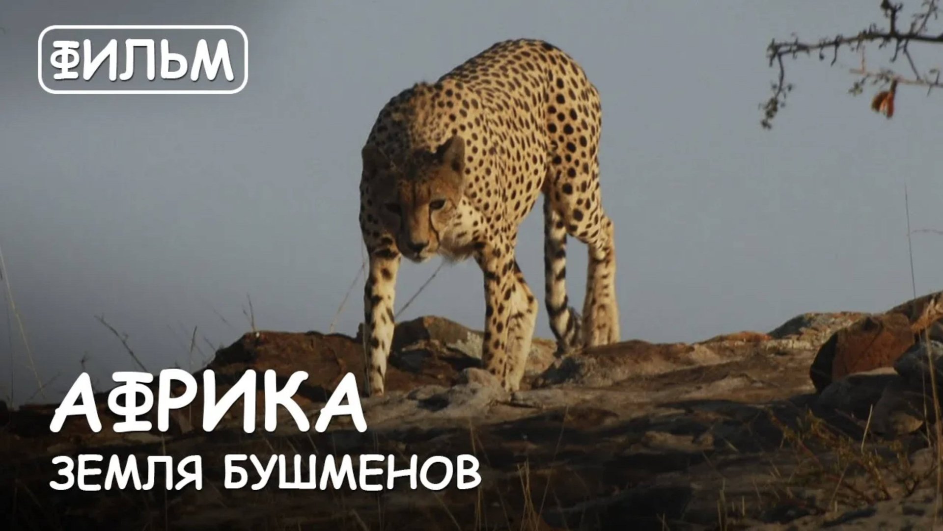 Фильм: "Африка Земля Бушменов" Путешествие через 4 страны на юге Африки. смотреть онлайн