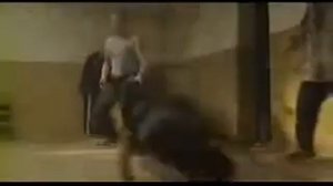 Нарезка из сериала «Боец»