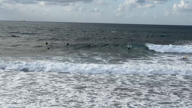 #sealife #surfing #laspalmas #spain #2024