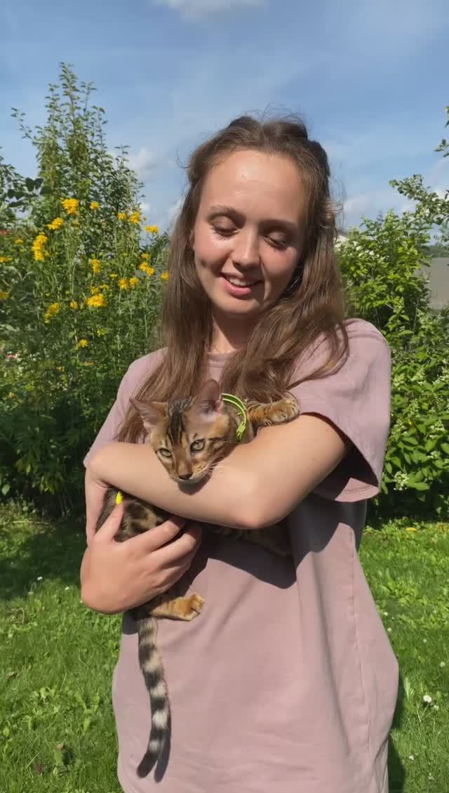 Съедобная игрушка и лакомство для кошек "Весёлый Мур-р-рмелад" смотреть онлайн