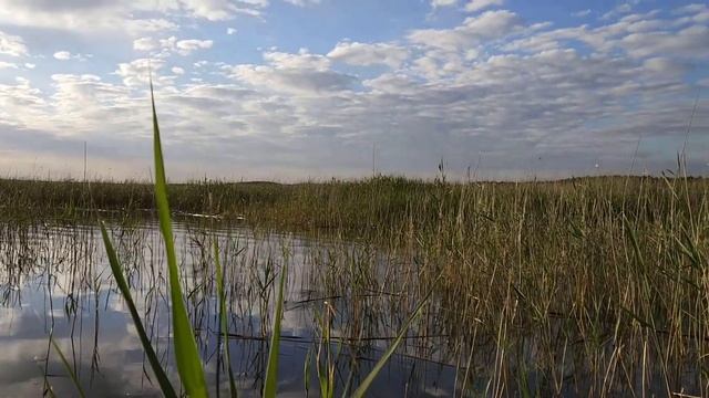 Кабанье озеро Курганской области смотреть онлайн