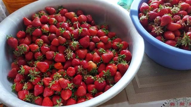 #Похудение.Лето соблазн для худеющих.🤔Чем больше вес тем меньше фруктов🍒.Похудела в 56(-44) смотреть онлайн