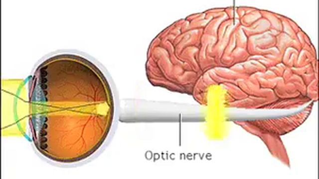 SEEING-LA VUE смотреть онлайн