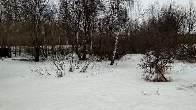 Тимоново 3072 смотреть онлайн