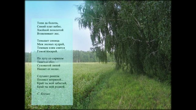 Топи да болота. Песня на стихи С. Есенина (инструм. версия). Композ., аранж., авт. фото Ю. Кучмаева смотреть онлайн
