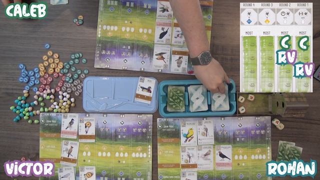 LET'S PLAY - Wingspan смотреть онлайн