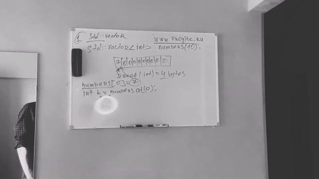 1. Общее введение в STL, Vector