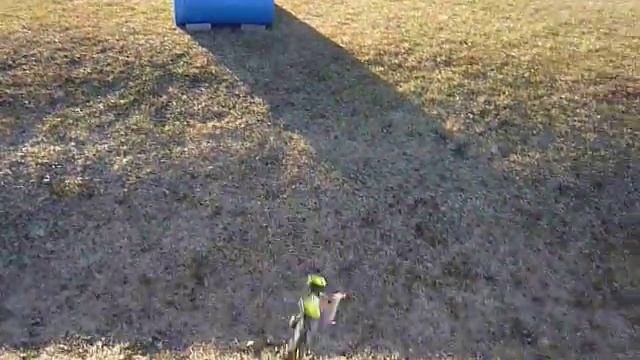 my rc buggy jumping and crashing 2 смотреть онлайн