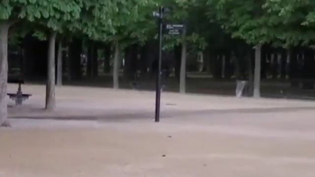Люксембургский сад, Люксембургский дворец смотреть онлайн