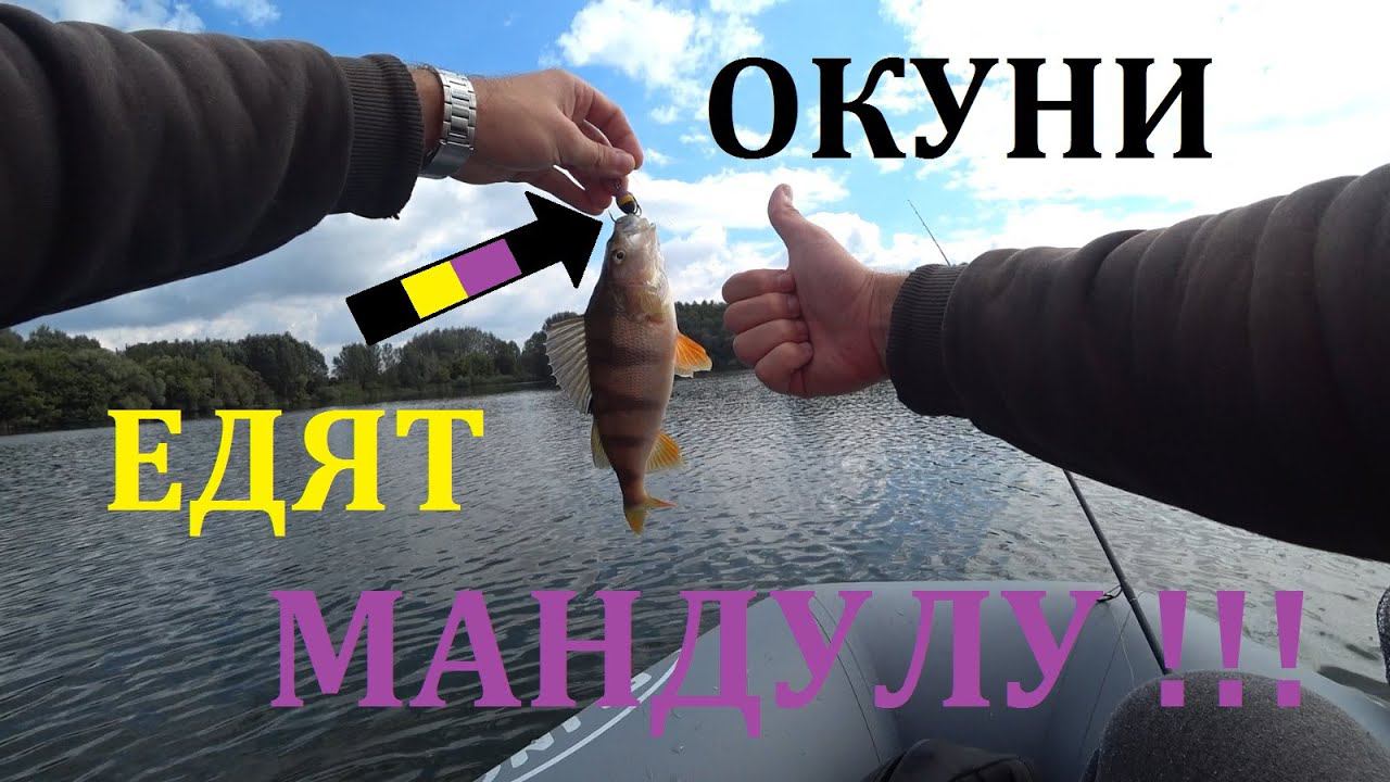 НЕ ВЕРИЛ, что ОКУНИ ЕДЯТ МАНДУЛУ!!!! МАНДУЛА КОСИТ ОКУНЕЙ!!! смотреть онлайн