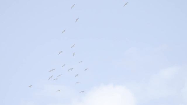 Christmas Day Hollywood Beach смотреть онлайн