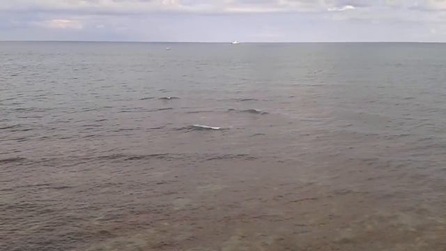 Геленджик,Толстый мыс,барашки,17г. смотреть онлайн