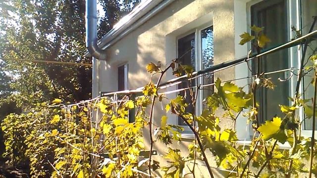 Дача. Сентябрь. Патриархат на один день. смотреть онлайн