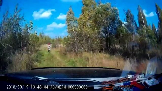 Грибники смотреть онлайн