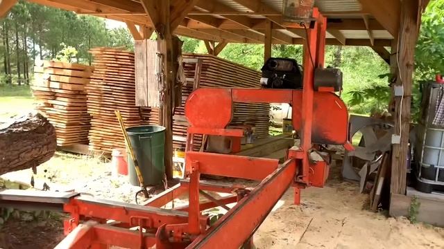 Cutting Pine Logs On The Sawmill!